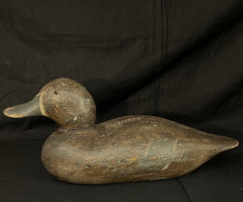 Vecchia esca anatra - vecchia,